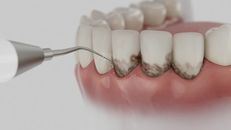 Reliable Dental contractor in King George County County, VA by Dentist Open Now